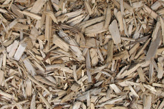 biomass boilers Clyst Hydon