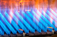 Clyst Hydon gas fired boilers